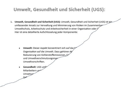 Beschreibung von Umwelt, Gesundheit und Sicherheit (EHS)